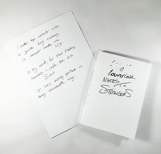 1 copy of Lowercase Notes to Strangers + 1 signed original book artwork.